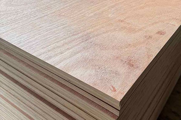 Vietnam Eucalyptus Plywood