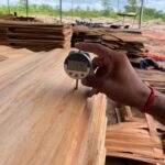 Eucalyptus Core Veneer