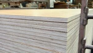 Eucalyptus plywood