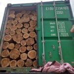 Teak Logs