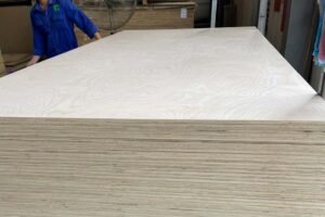 vietnam plywood birch