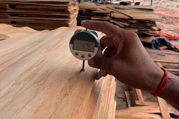 Checking Eucalyptus Core Wood Veneer Thickness